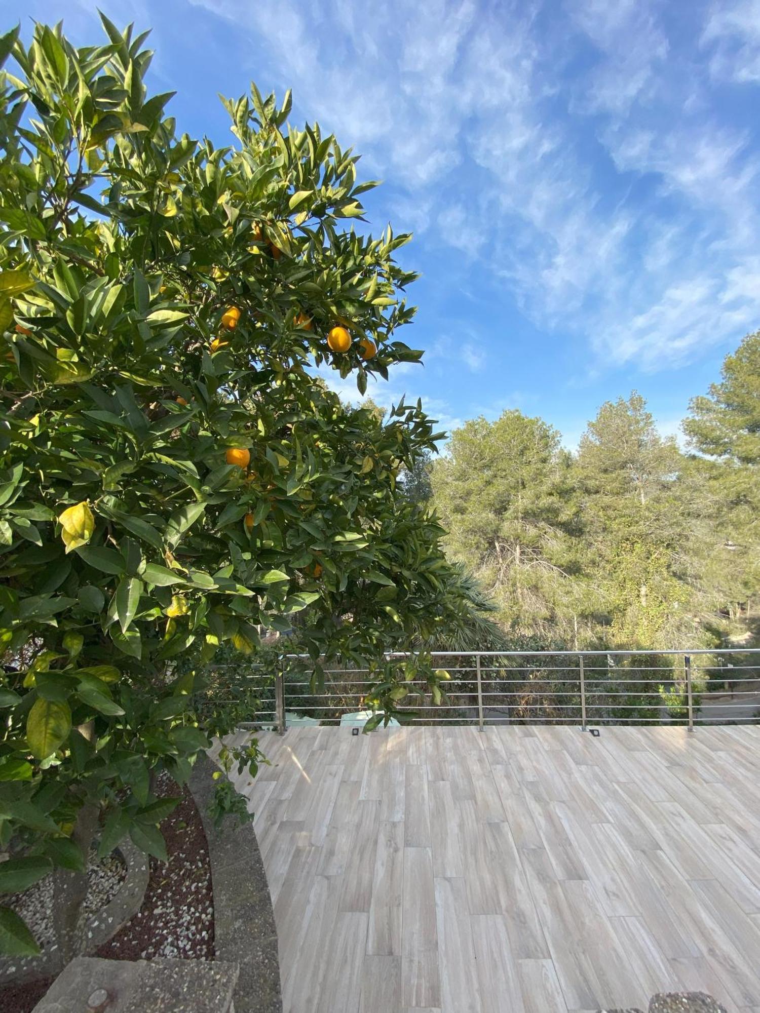 Villa Avril Piscina Privada Y Amplias Terrazas Olivella Exteriör bild